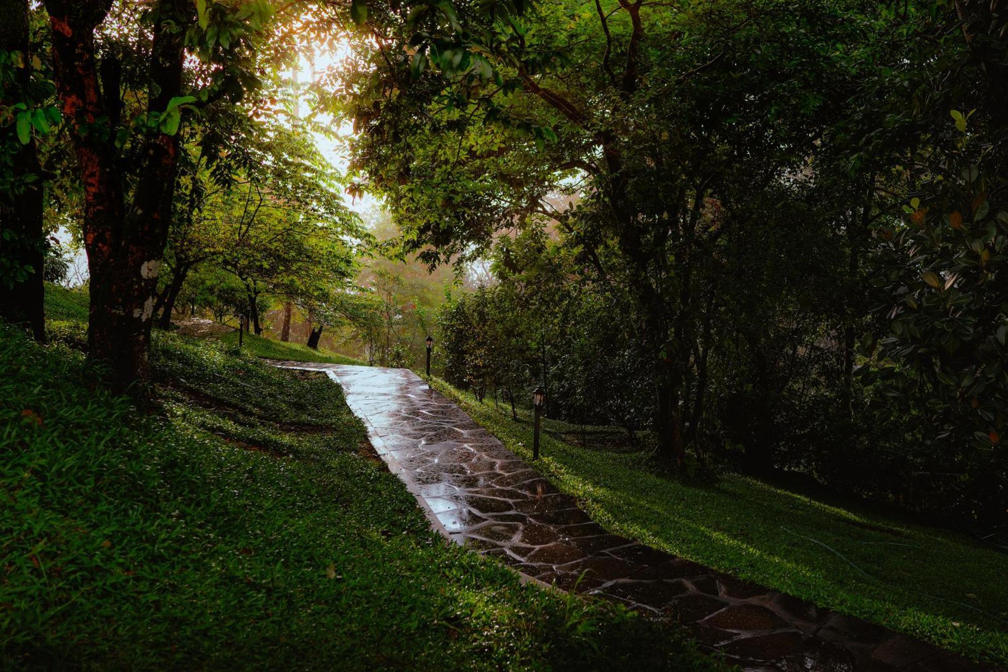 Haze And Kites Resort Munnar Esterno foto